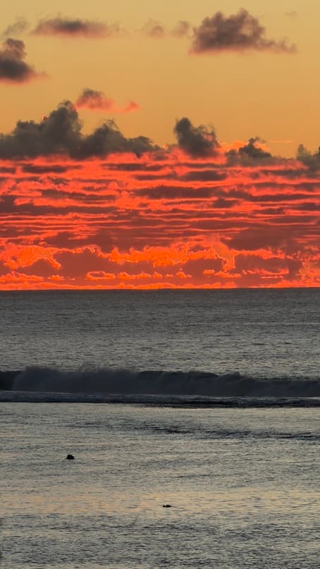 Rarotonga Island Vibes 