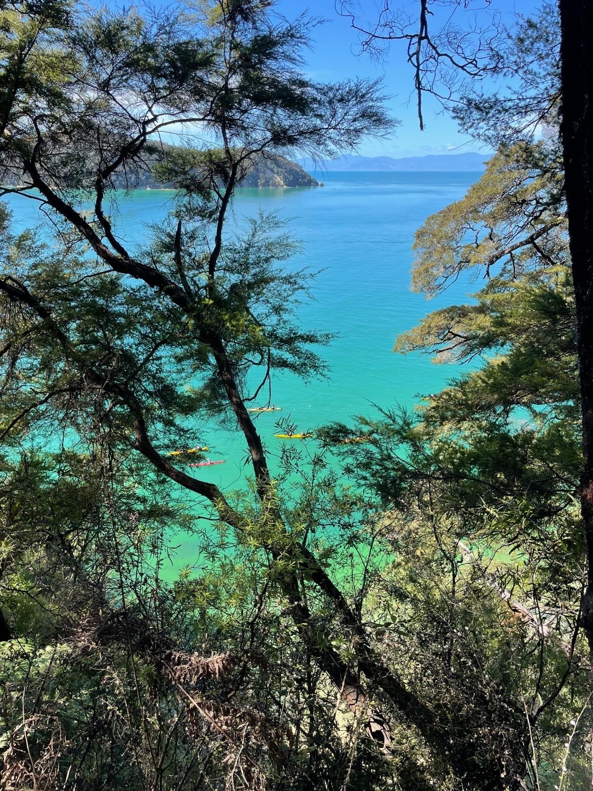 Abel Tasman National Park