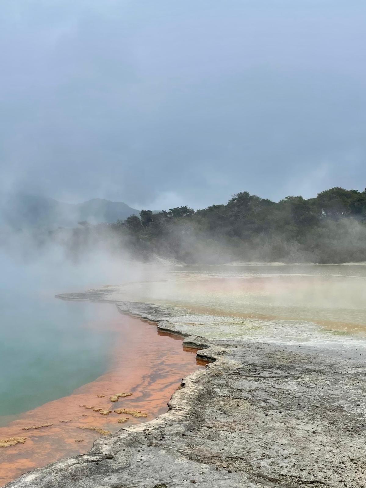 Wai O Tapu